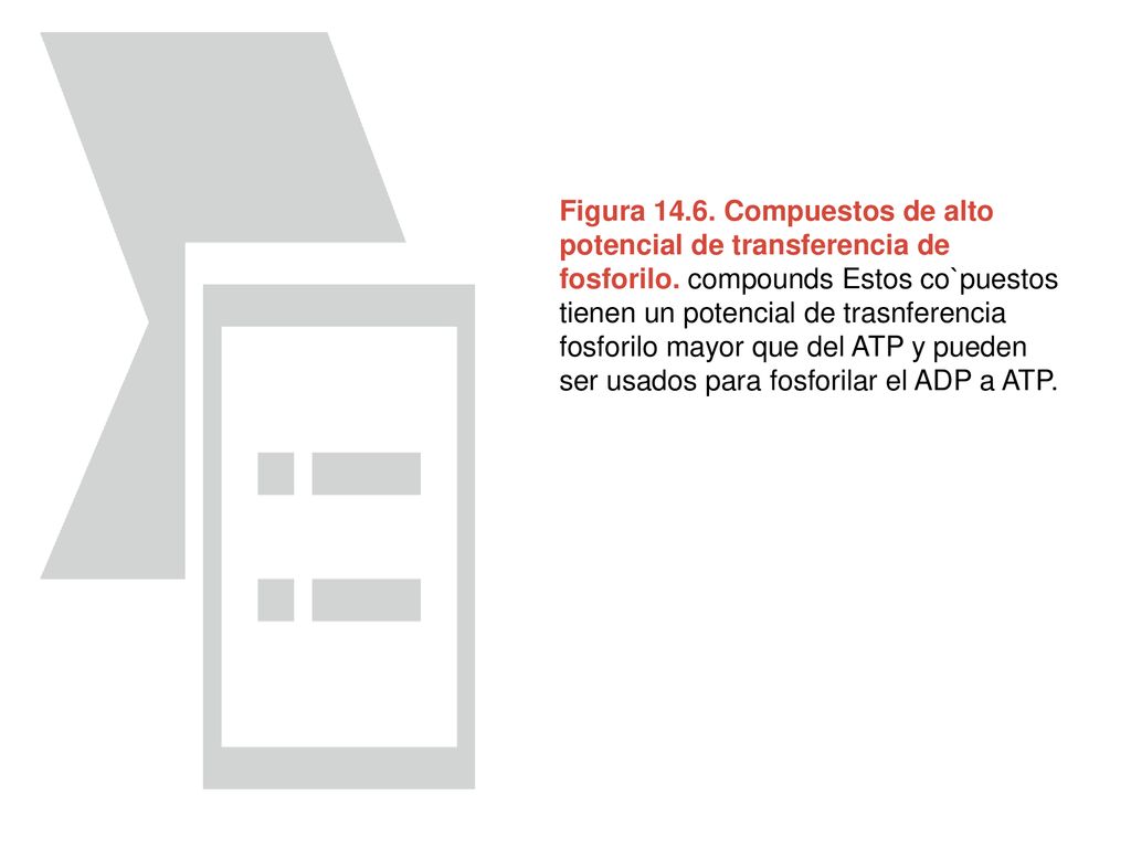 Figura Compuestos de alto potencial de transferencia de fosforilo.