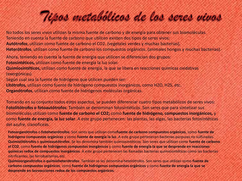 Tipos metabólicos de los seres vivos