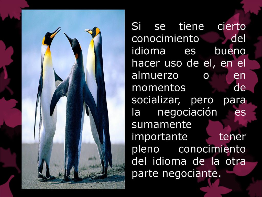 Si se tiene cierto conocimiento del idioma es bueno hacer uso de el, en el almuerzo o en momentos de socializar, pero para la negociación es sumamente importante tener pleno conocimiento del idioma de la otra parte negociante.