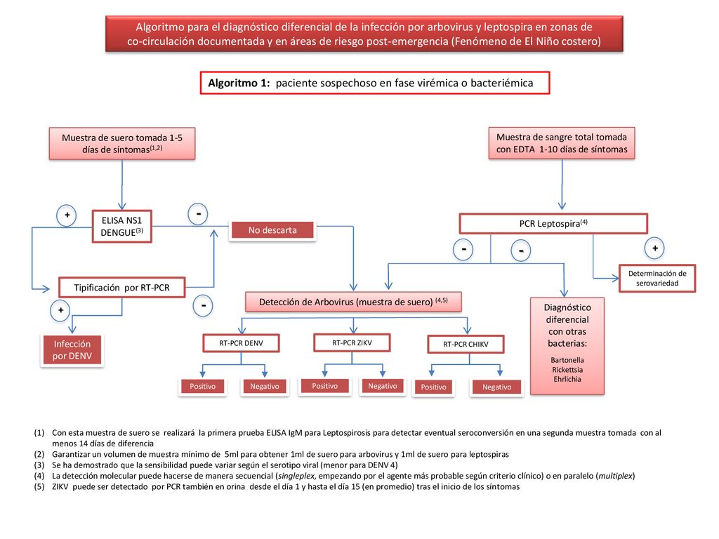 Algoritmo para el diagnóstico diferencial de la infección por arbovirus y leptospira en zonas de co-circulación documentada y en áreas de riesgo post-emergencia (Fenómeno de El Niño costero)