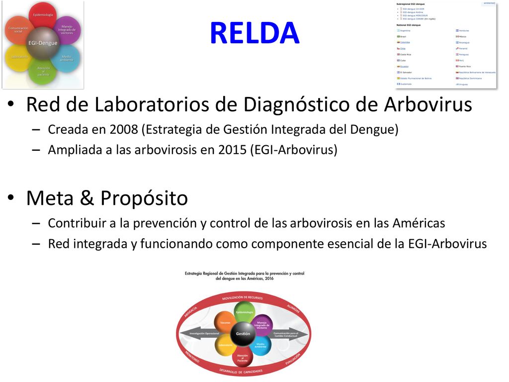 RELDA Red de Laboratorios de Diagnóstico de Arbovirus Meta & Propósito