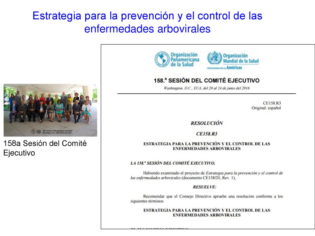Estrategia para la prevención y el control de las enfermedades arbovirales