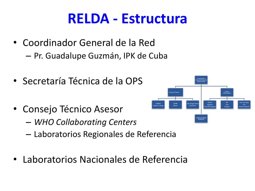 RELDA - Estructura Coordinador General de la Red
