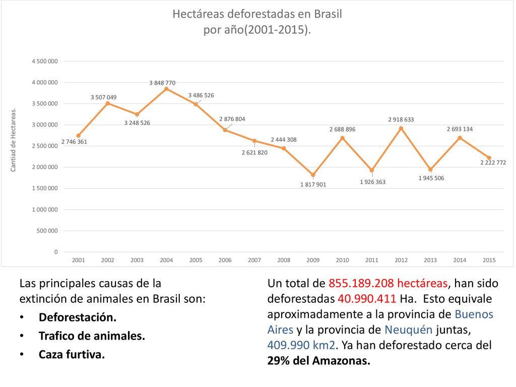 Las principales causas de la extinción de animales en Brasil son: