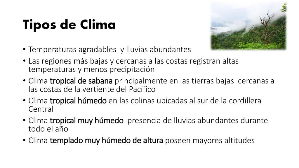 Tipos de Clima Temperaturas agradables y lluvias abundantes