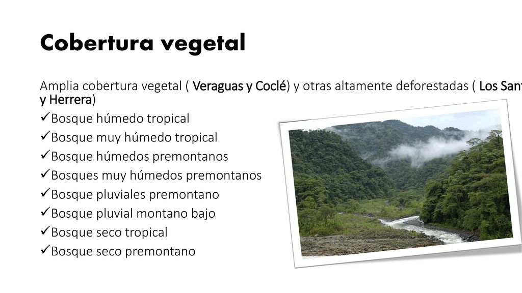 Cobertura vegetal Amplia cobertura vegetal ( Veraguas y Coclé) y otras altamente deforestadas ( Los Santos y Herrera)