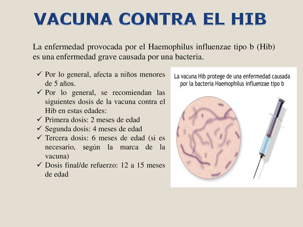 VACUNA CONTRA EL HIB La enfermedad provocada por el Haemophilus influenzae tipo b (Hib) es una enfermedad grave causada por una bacteria.
