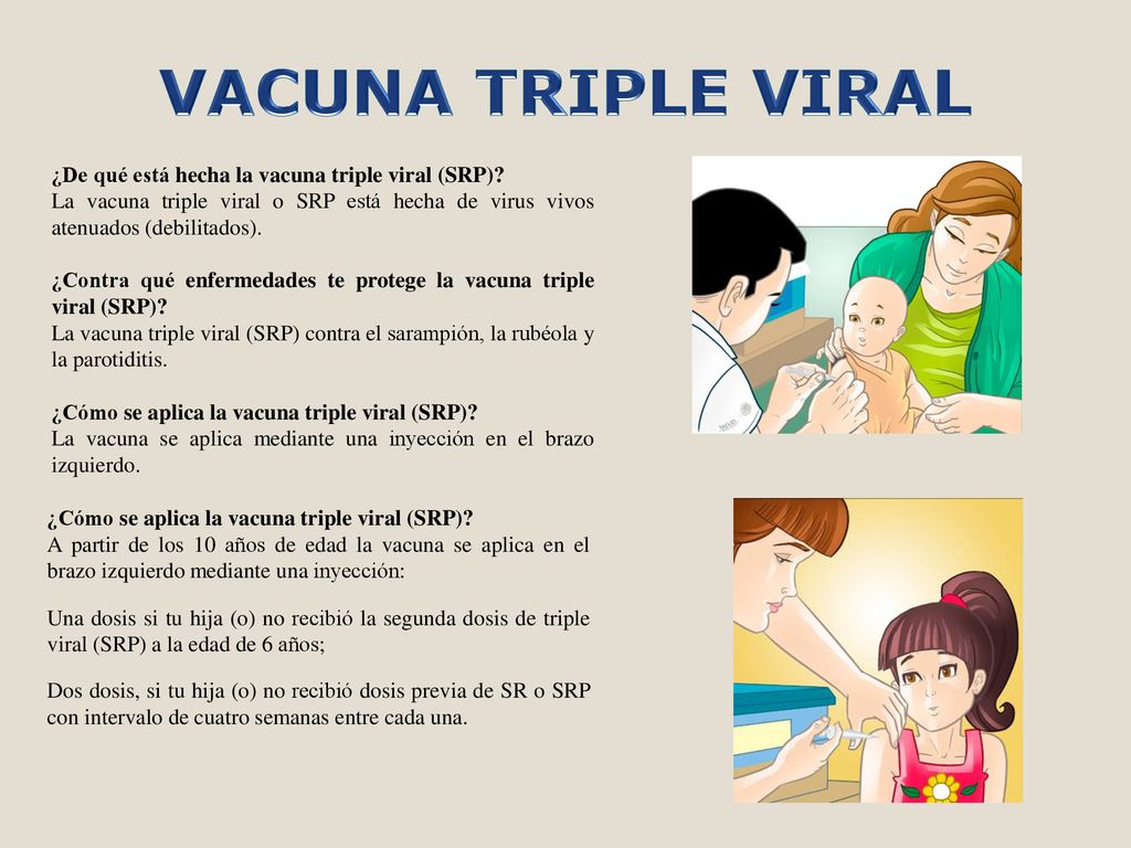 VACUNA TRIPLE VIRAL ¿De qué está hecha la vacuna triple viral (SRP)
