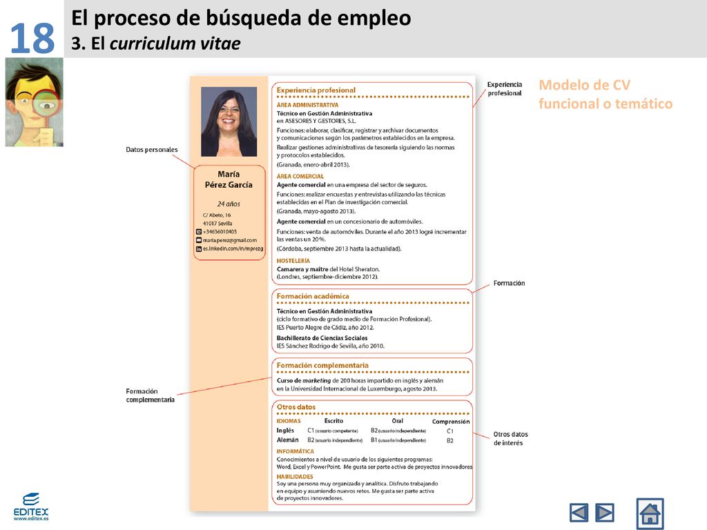 18 El proceso de búsqueda de empleo 3. El curriculum vitae