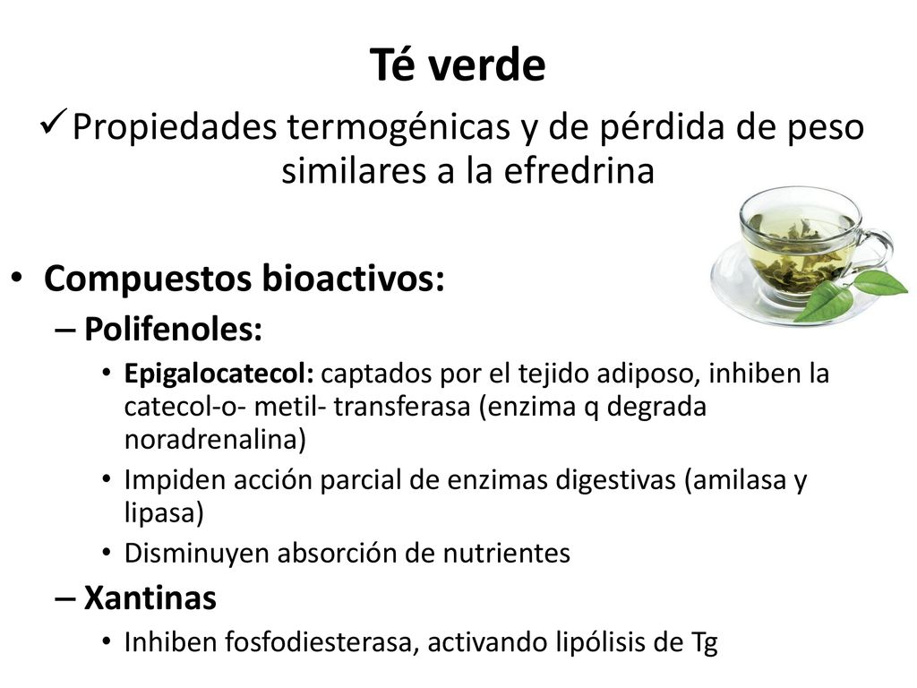 Propiedades termogénicas y de pérdida de peso similares a la efredrina