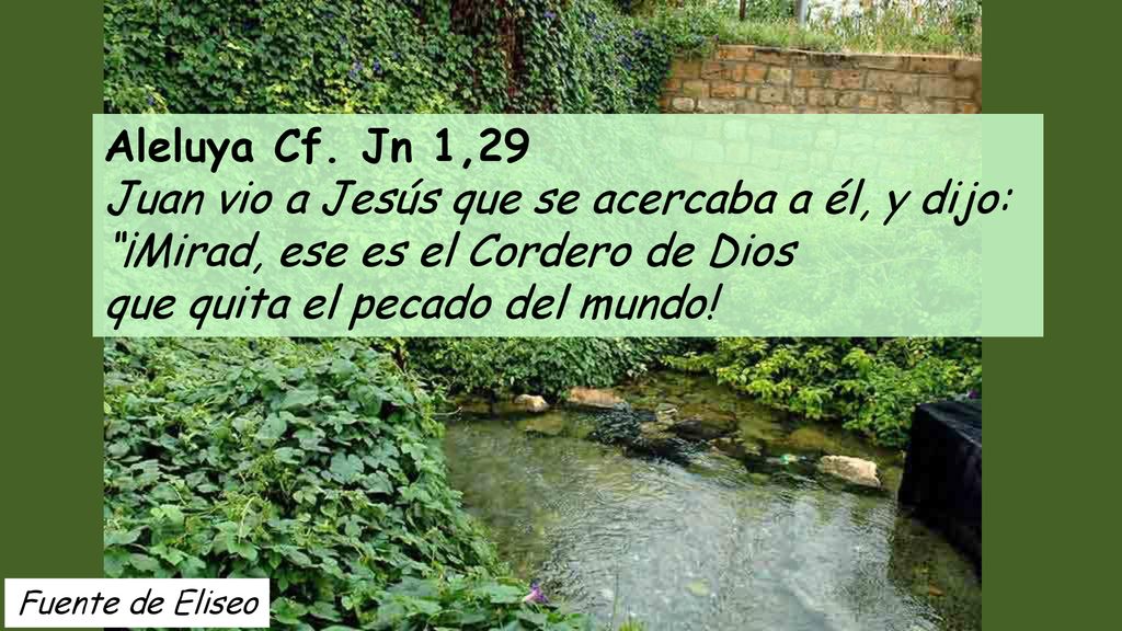 Aleluya Cf. Jn 1,29 Juan vio a Jesús que se acercaba a él, y dijo: