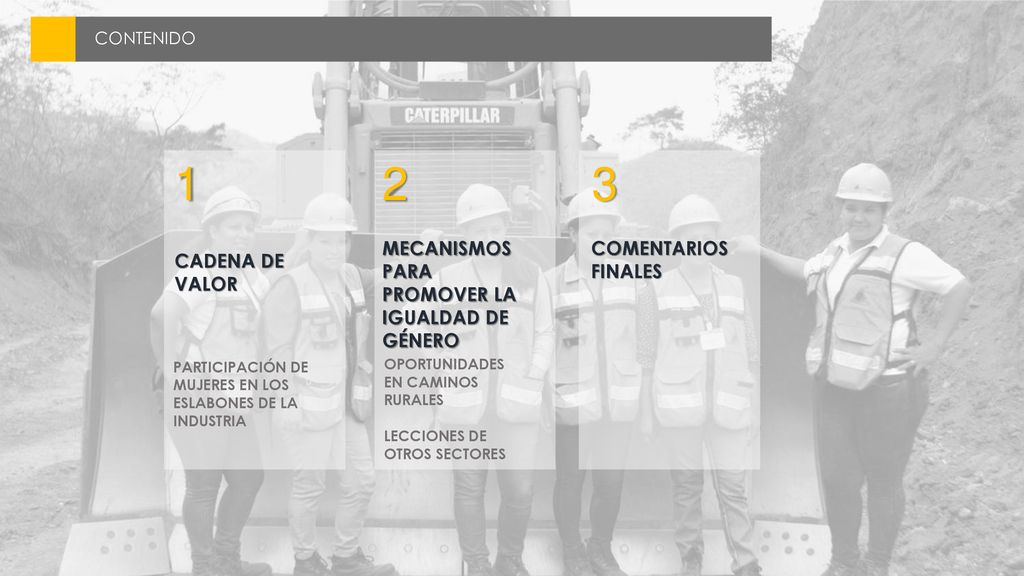 1 2 3 MECANISMOS PARA PROMOVER LA IGUALDAD DE GÉNERO