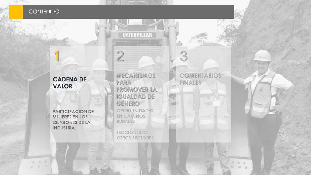 1 2 3 MECANISMOS PARA PROMOVER LA IGUALDAD DE GÉNERO
