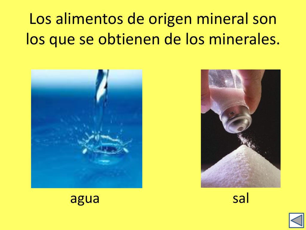 Los alimentos de origen mineral son los que se obtienen de los minerales.
