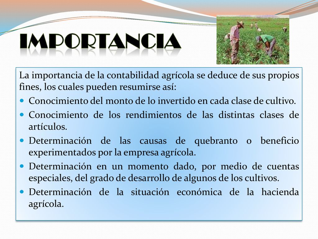 IMPORTANCIA La importancia de la contabilidad agrícola se deduce de sus propios fines, los cuales pueden resumirse así: