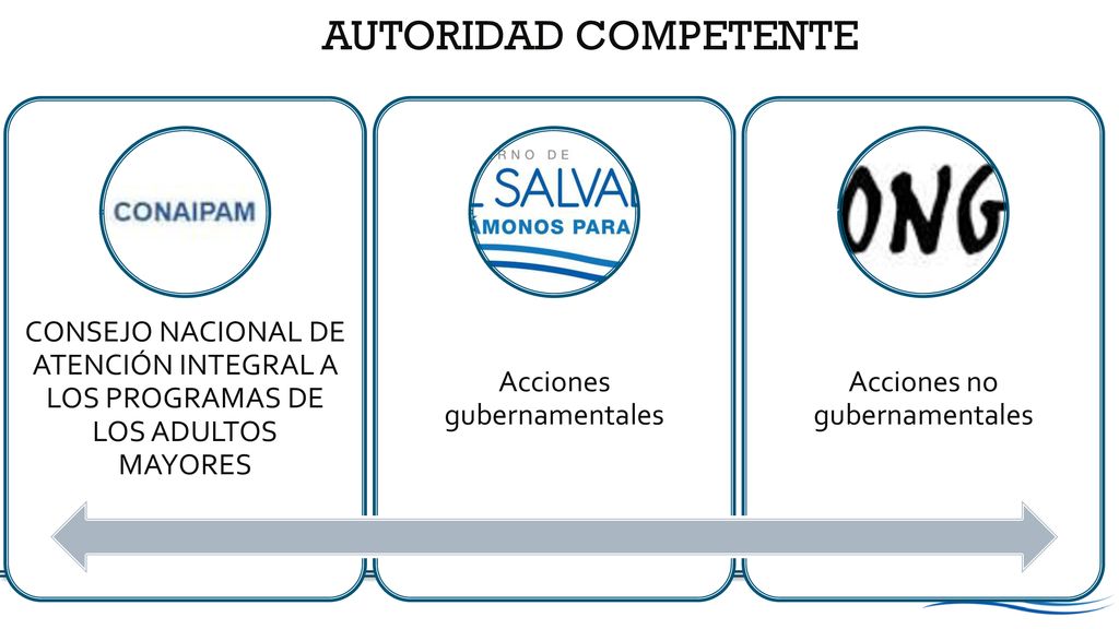 AUTORIDAD COMPETENTE CONSEJO NACIONAL DE ATENCIÓN INTEGRAL A LOS PROGRAMAS DE LOS ADULTOS MAYORES. Acciones gubernamentales.
