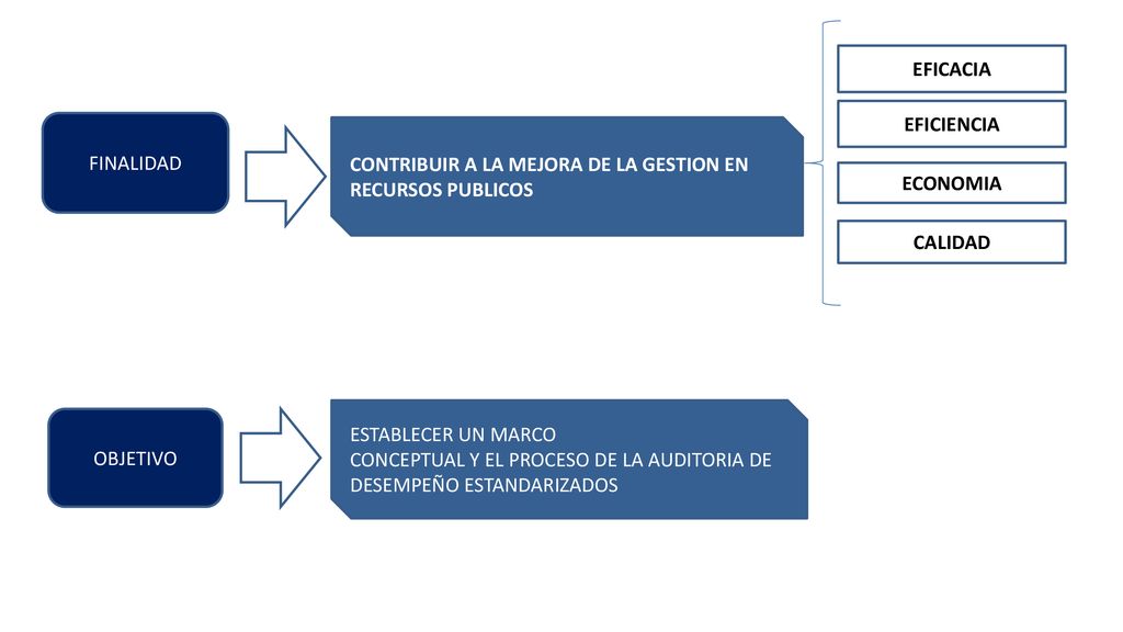 EFICACIA EFICIENCIA. FINALIDAD. CONTRIBUIR A LA MEJORA DE LA GESTION EN RECURSOS PUBLICOS. ECONOMIA.