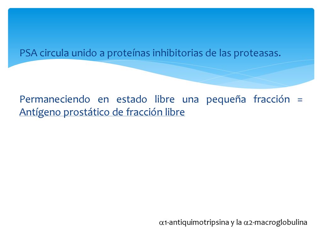 PSA circula unido a proteínas inhibitorias de las proteasas.