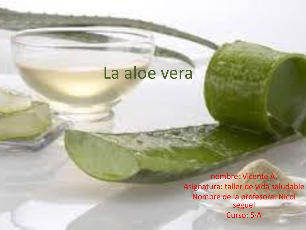 La aloe vera nombre: Vicente A. Asignatura: taller de vida saludable
