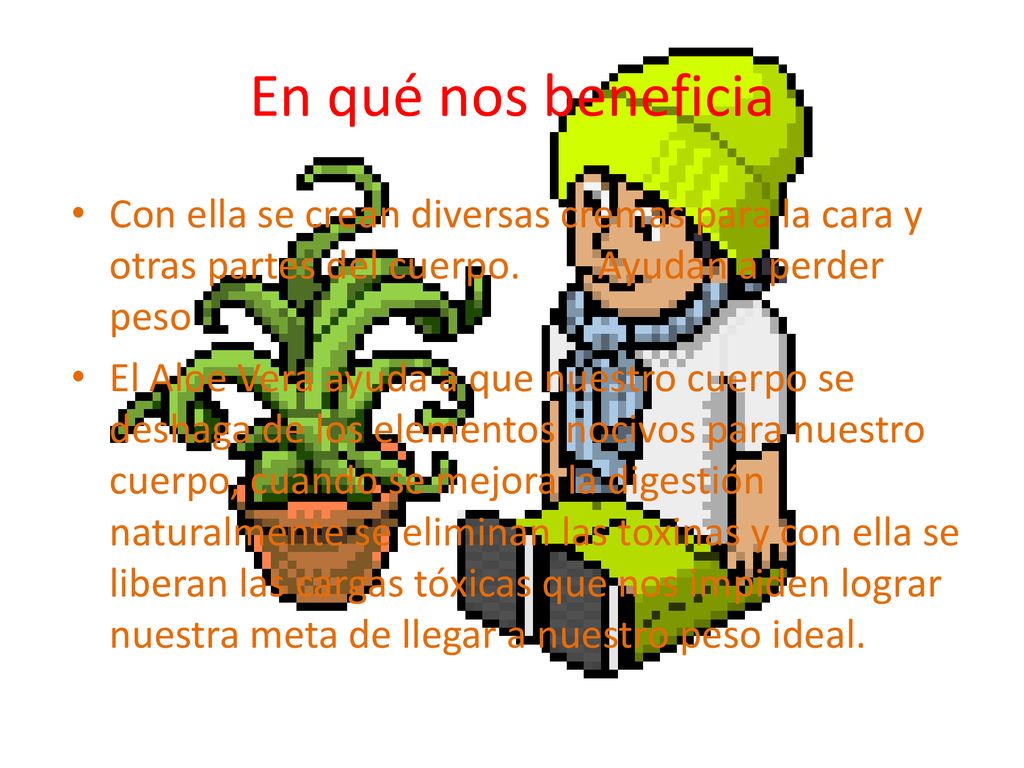 En qué nos beneficia Con ella se crean diversas cremas para la cara y otras partes del cuerpo. Ayudan a perder peso.