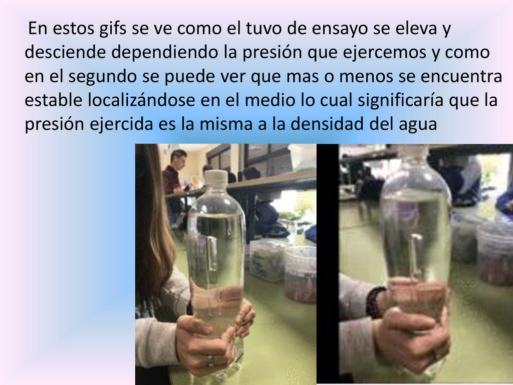 En estos gifs se ve como el tuvo de ensayo se eleva y desciende dependiendo la presión que ejercemos y como en el segundo se puede ver que mas o menos se encuentra estable localizándose en el medio lo cual significaría que la presión ejercida es la misma a la densidad del agua