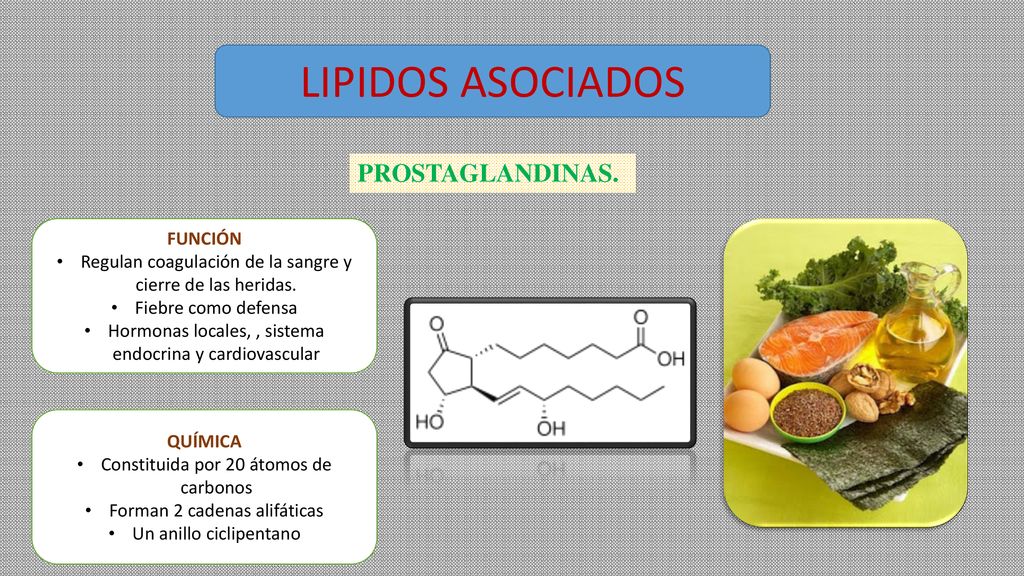LIPIDOS ASOCIADOS PROSTAGLANDINAS. FUNCIÓN