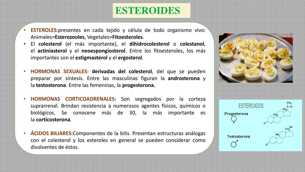 ESTEROIDES ESTEROLES:presentes en cada tejido y célula de todo organismo vivo: Animales=Esterozooles, Vegetales=Fitoesteroles.