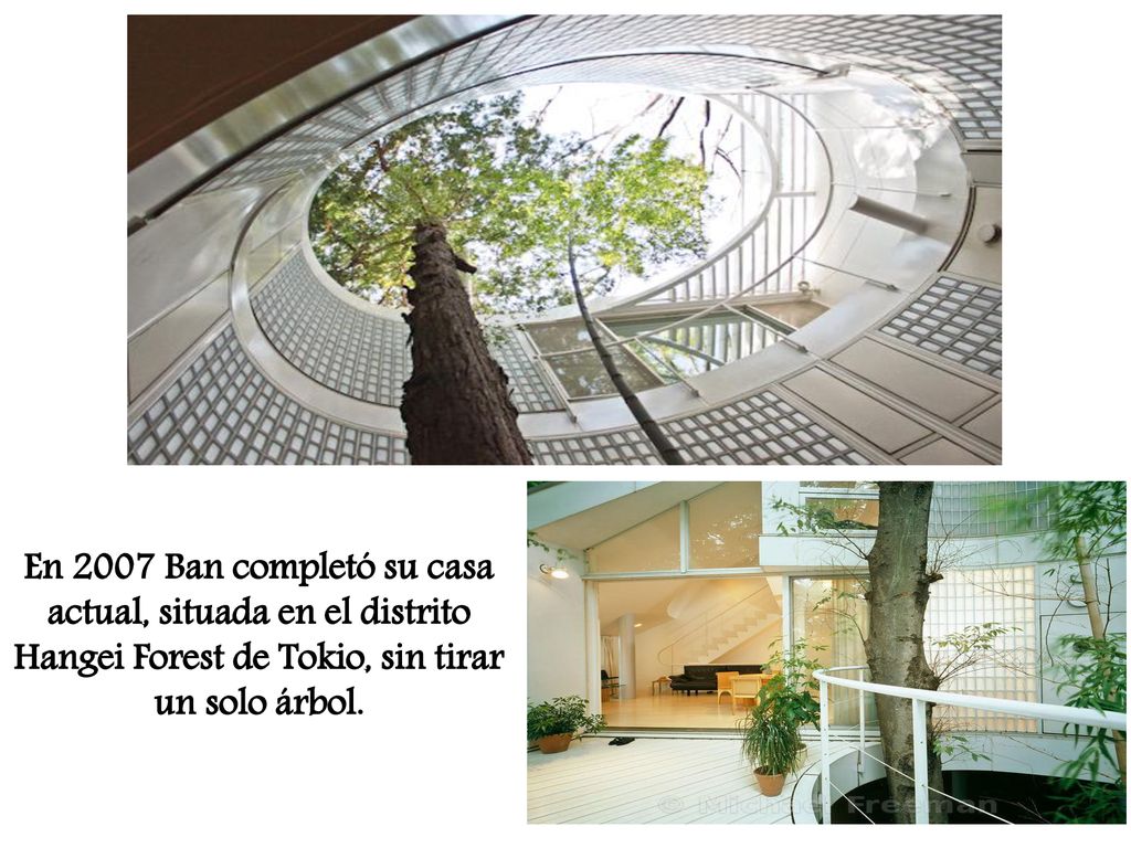 En 2007 Ban completó su casa actual, situada en el distrito Hangei Forest de Tokio, sin tirar un solo árbol.