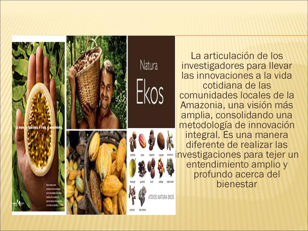 La articulación de los investigadores para llevar las innovaciones a la vida cotidiana de las comunidades locales de la Amazonia, una visión más amplia, consolidando una metodología de innovación integral.