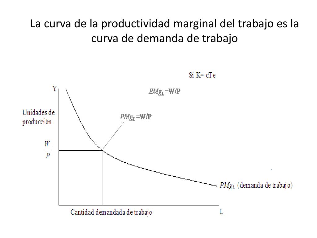 La curva de la productividad marginal del trabajo es la curva de demanda de trabajo