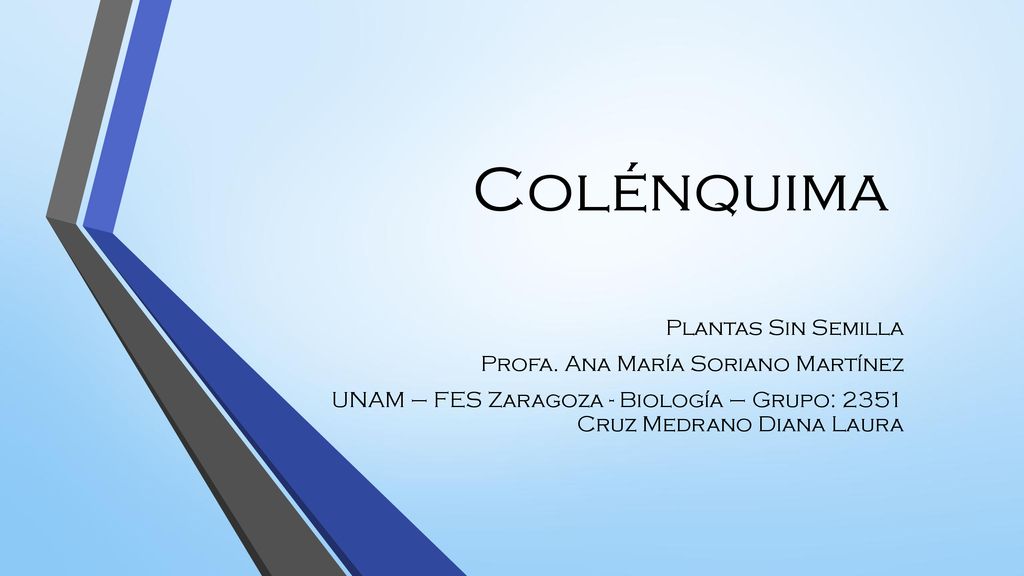 Colénquima Plantas Sin Semilla Profa. Ana María Soriano Martínez