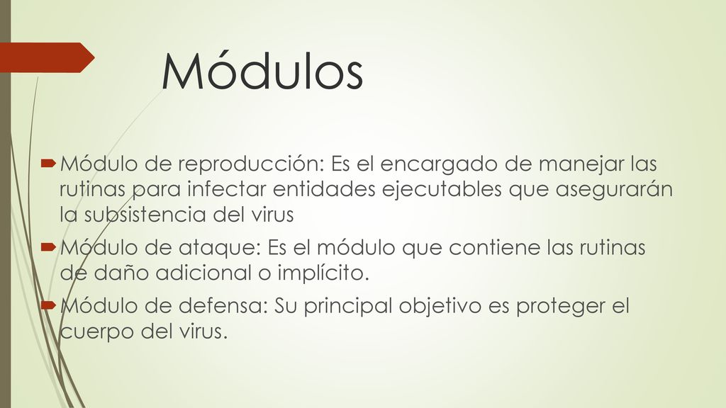 Módulos Módulo de reproducción: Es el encargado de manejar las rutinas para infectar entidades ejecutables que asegurarán la subsistencia del virus.