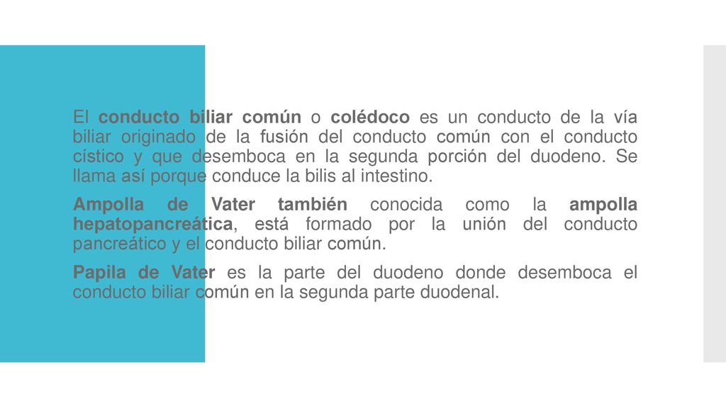 El conducto biliar común o colédoco es un conducto de la vía biliar originado de la fusión del conducto común con el conducto cístico y que desemboca en la segunda porción del duodeno. Se llama así porque conduce la bilis al intestino.