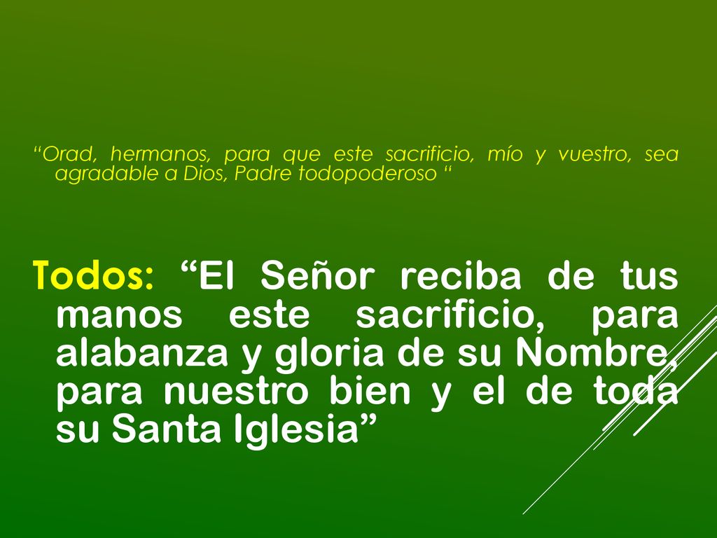 Orad, hermanos, para que este sacrificio, mío y vuestro, sea agradable a Dios, Padre todopoderoso