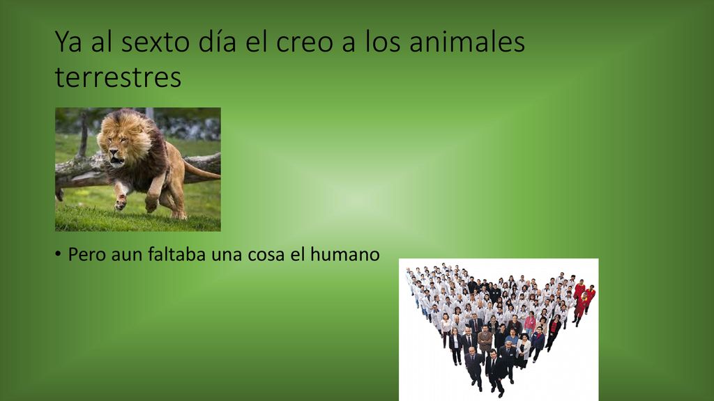 Ya al sexto día el creo a los animales terrestres
