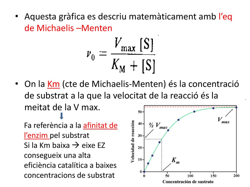 Aquesta gràfica es descriu matemàticament amb l’eq de Michaelis –Menten