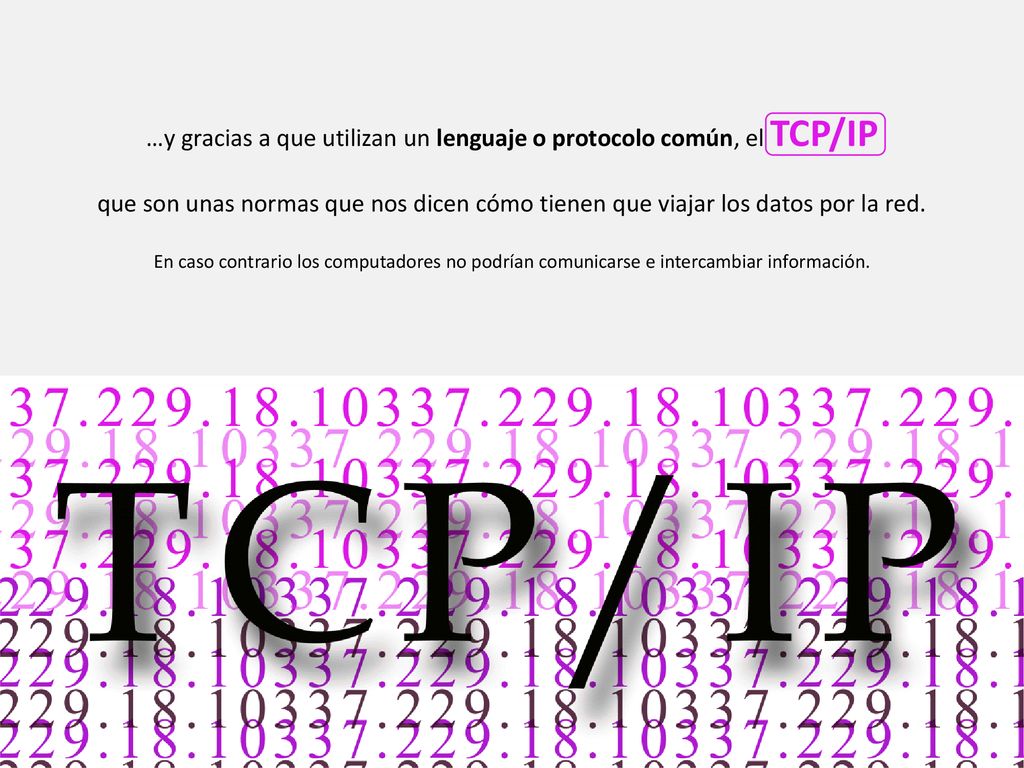 …y gracias a que utilizan un lenguaje o protocolo común, el TCP/IP