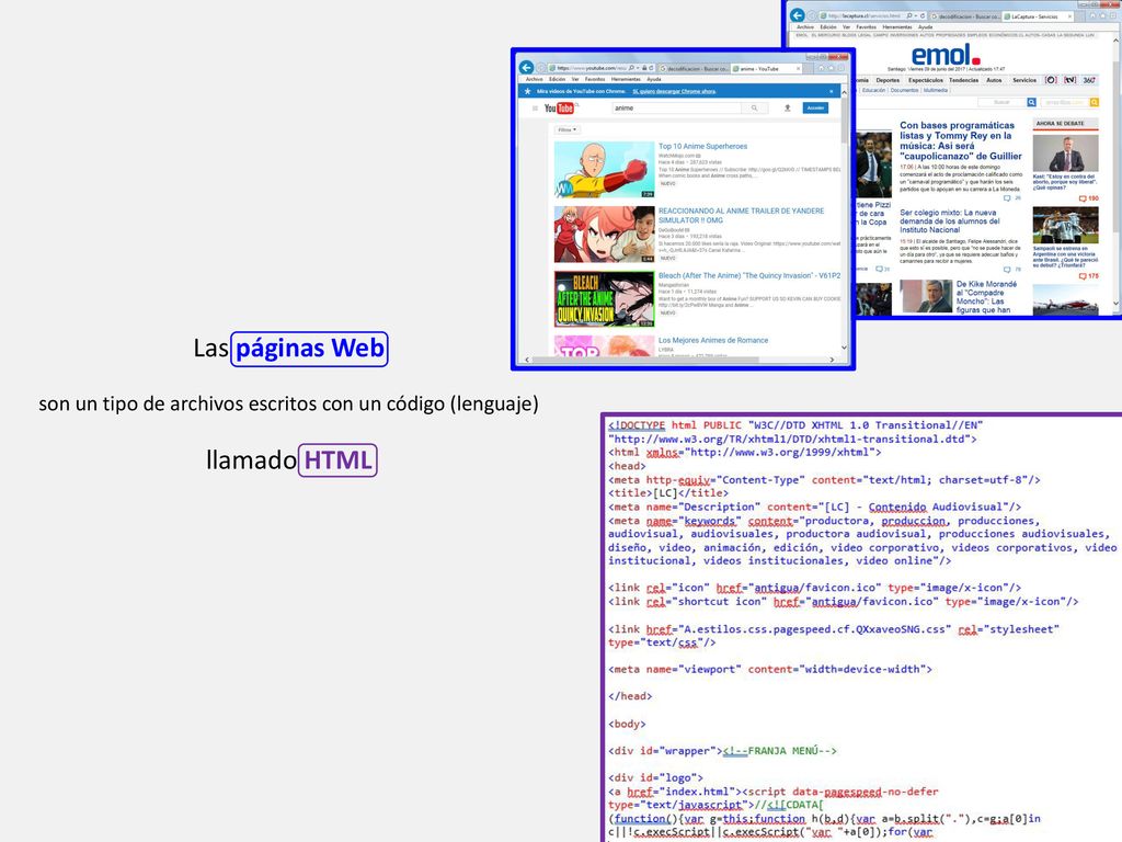 son un tipo de archivos escritos con un código (lenguaje)