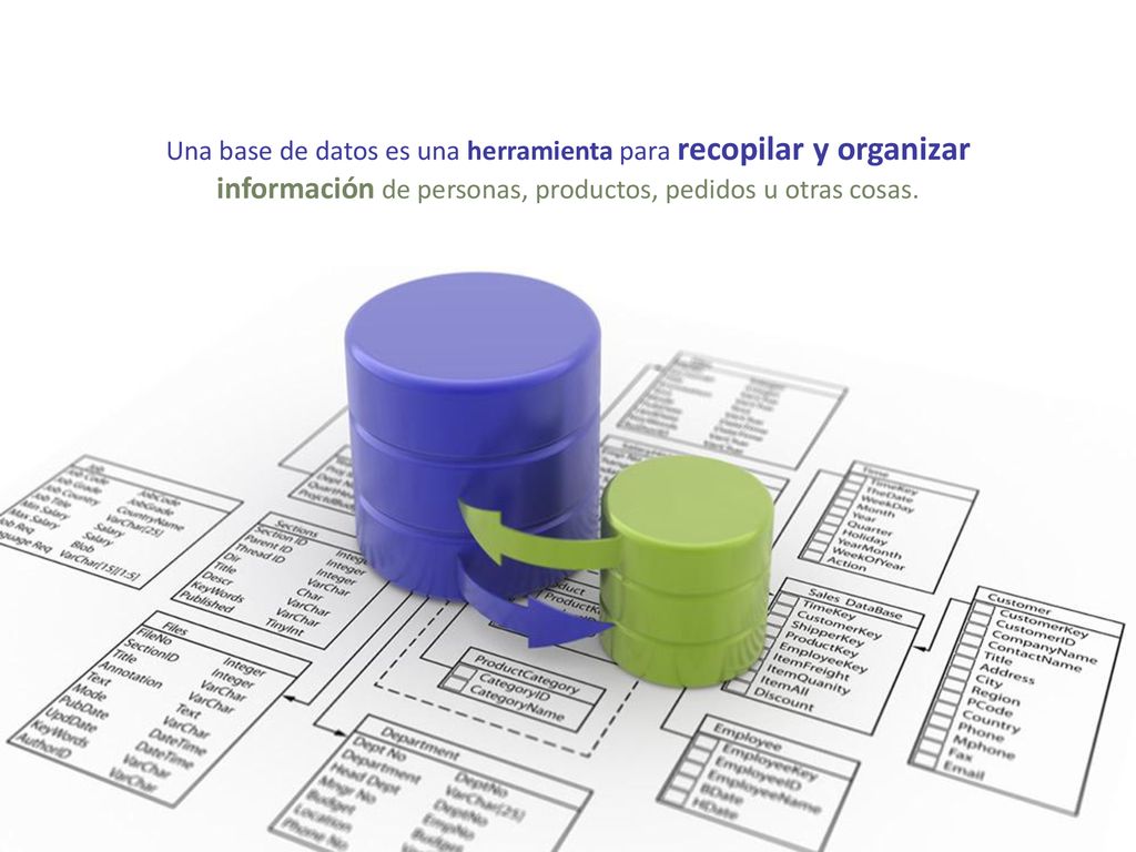 información de personas, productos, pedidos u otras cosas.