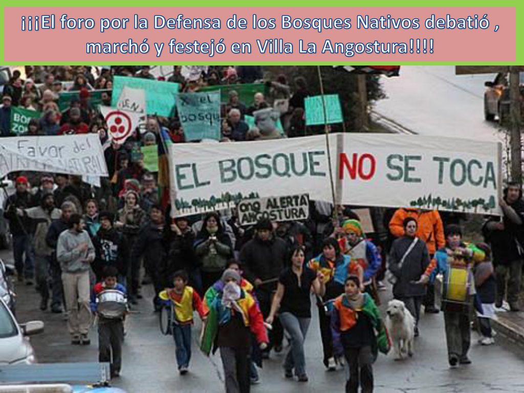 ¡¡¡El foro por la Defensa de los Bosques Nativos debatió , marchó y festejó en Villa La Angostura!!!!