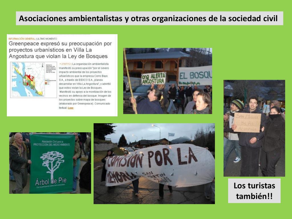 Asociaciones ambientalistas y otras organizaciones de la sociedad civil