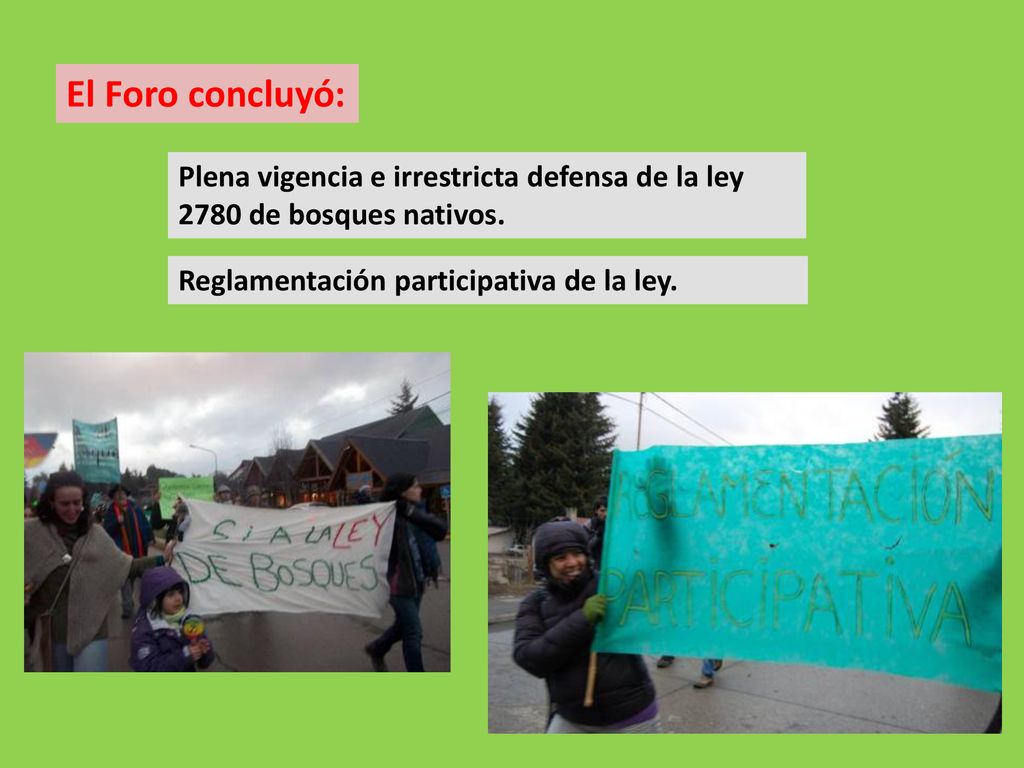 El Foro concluyó: Plena vigencia e irrestricta defensa de la ley 2780 de bosques nativos.