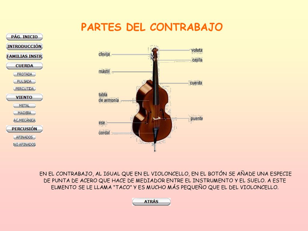 PARTES DEL CONTRABAJO EN EL CONTRABAJO, AL IGUAL QUE EN EL VIOLONCELLO, EN EL BOTÓN SE AÑADE UNA ESPECIE.