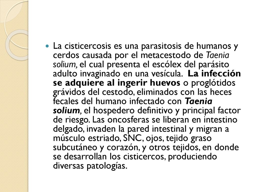 La cisticercosis es una parasitosis de humanos y cerdos causada por el metacestodo de Taenia solium, el cual presenta el escólex del parásito adulto invaginado en una vesícula. La infección se adquiere al ingerir huevos o proglótidos grávidos del cestodo, eliminados con las heces fecales del humano infectado con Taenia solium, el hospedero definitivo y principal factor de riesgo. Las oncosferas se liberan en intestino delgado, invaden la pared intestinal y migran a músculo estriado, SNC, ojos, tejido graso subcutáneo y corazón, y otros tejidos, en donde se desarrollan los cisticercos, produciendo diversas patologías.