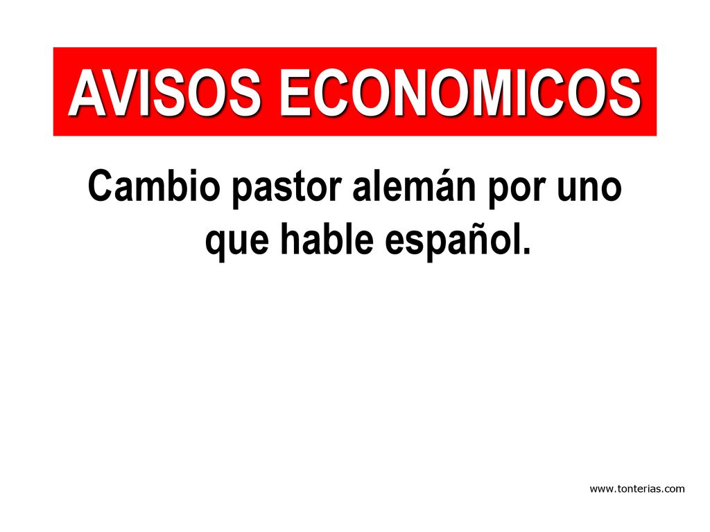 Cambio pastor alemán por uno que hable español.