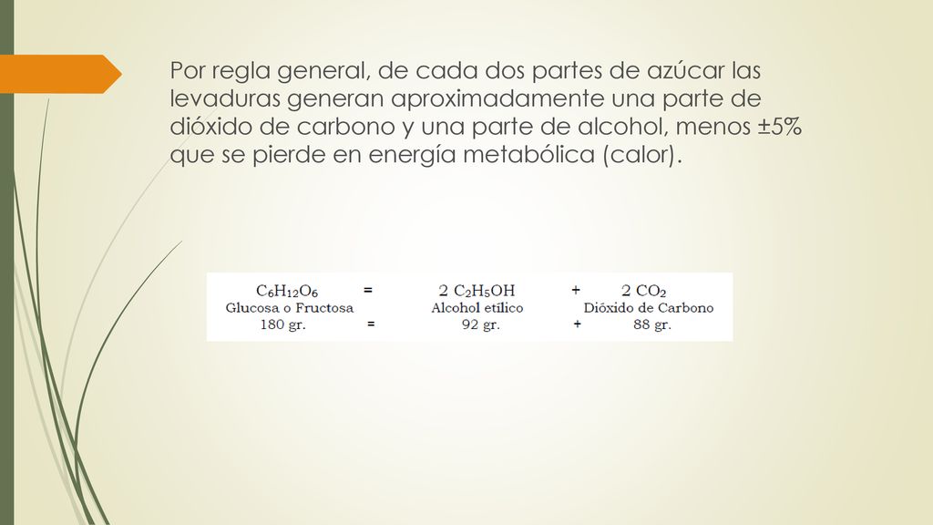 Por regla general, de cada dos partes de azúcar las levaduras generan aproximadamente una parte de dióxido de carbono y una parte de alcohol, menos ±5% que se pierde en energía metabólica (calor).