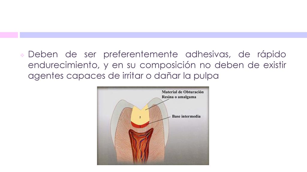 Deben de ser preferentemente adhesivas, de rápido endurecimiento, y en su composición no deben de existir agentes capaces de irritar o dañar la pulpa