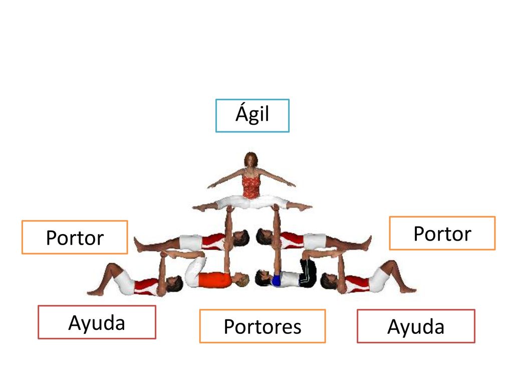 Ágil Portor Portor Ayuda Portores Ayuda