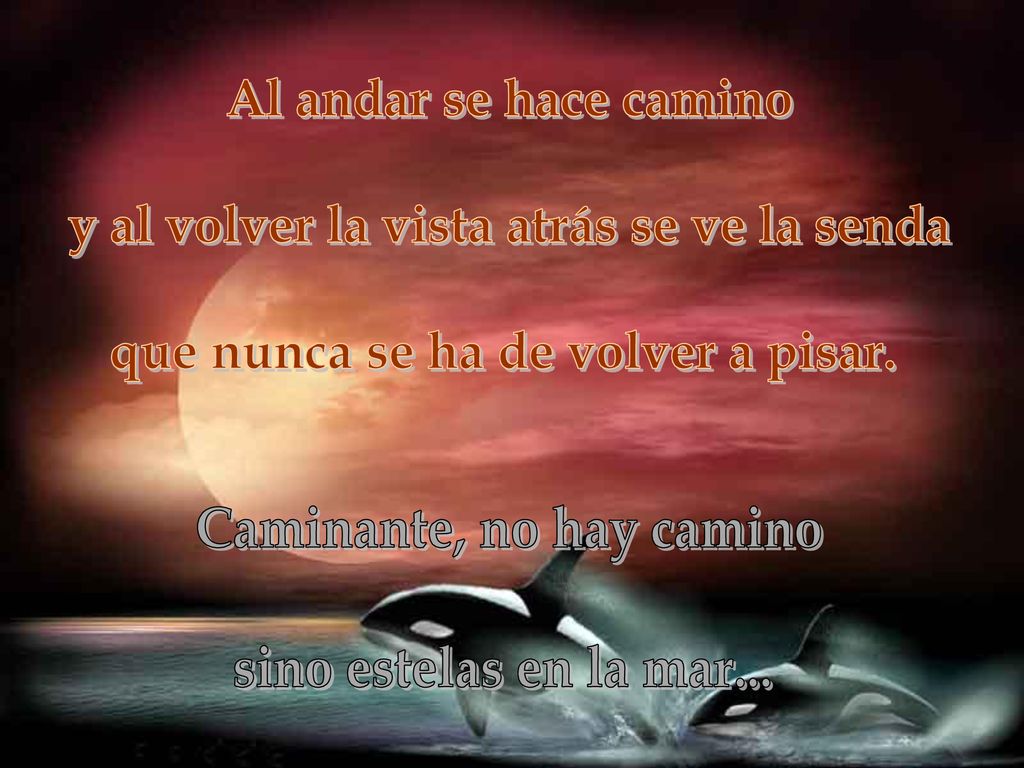 y al volver la vista atrás se ve la senda