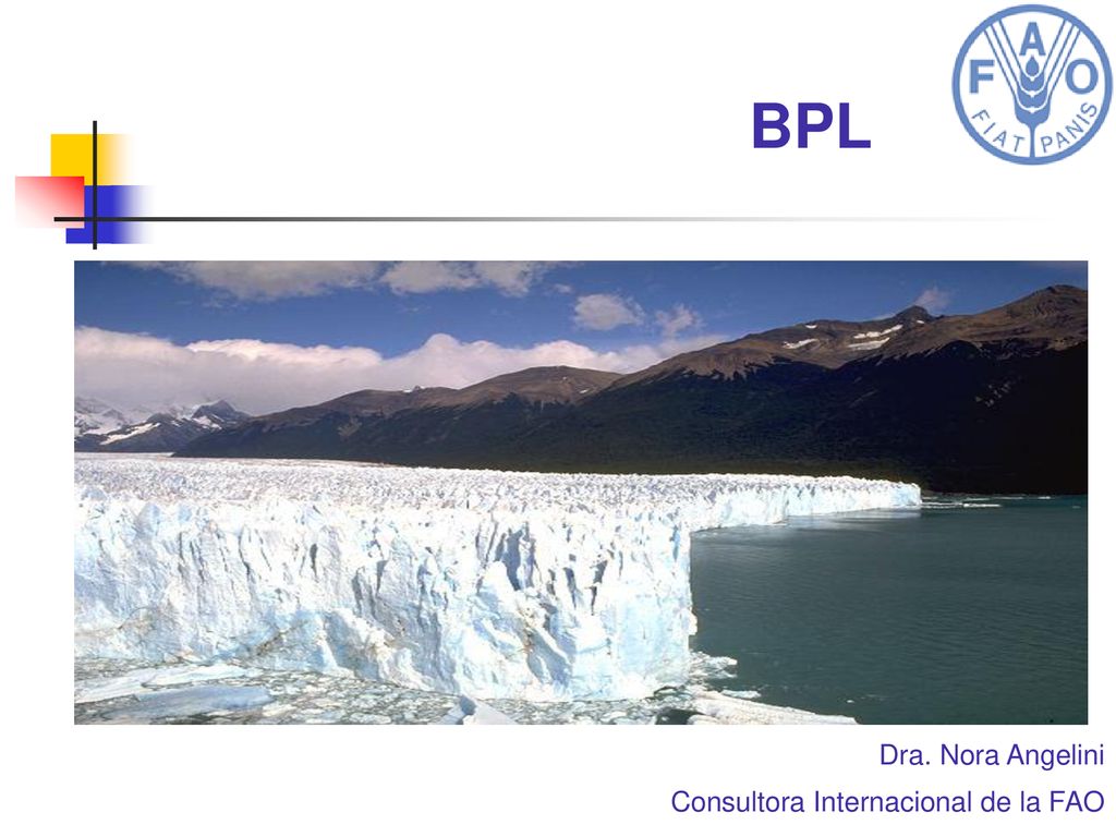 BPL Dra. Nora Angelini Consultora Internacional de la FAO